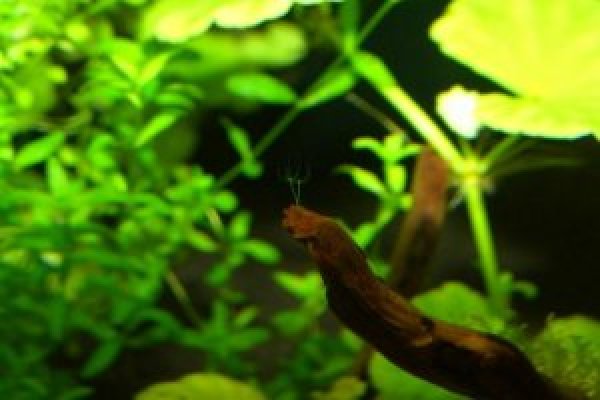Как вывести деньги с kraken